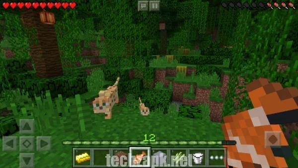 Download Minecraft 1.21.80.3 APK