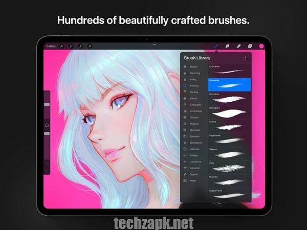 Procreate APP APK