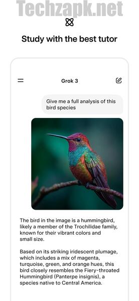 Download Grok AI Mod APK