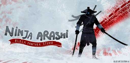 Ninja Arashi