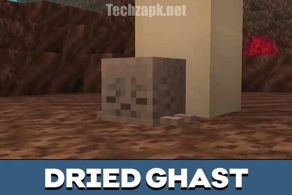 Minecraft 1.21.100.22 APK Menu