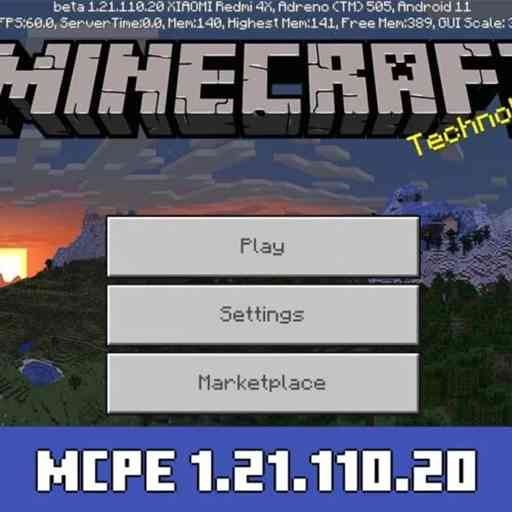 Minecraft 1.21.110.20