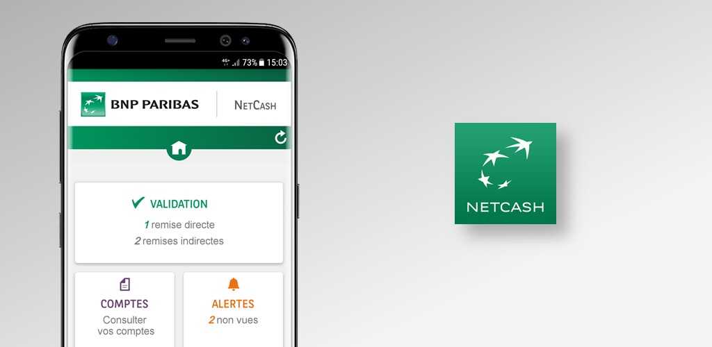 Net Cash 2.3