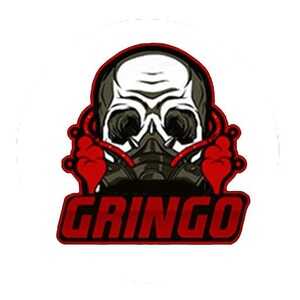 GRINGO XP