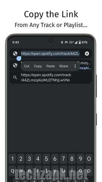 SpotiFlyer APK Pro
