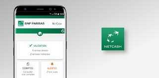 Net Cash