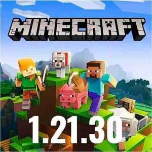 Minecraft 1.21.30