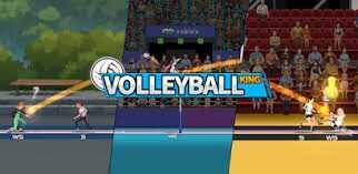VolleyBall King