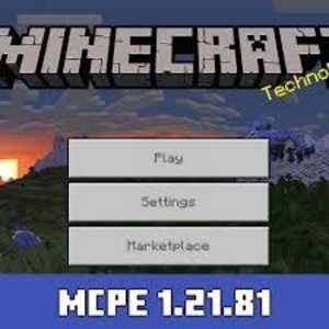 Minecraft 1.21.81