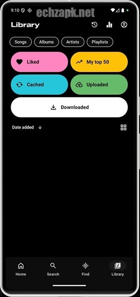 Echo Music APK Premium