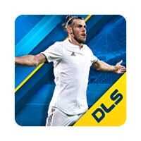 DLS 19