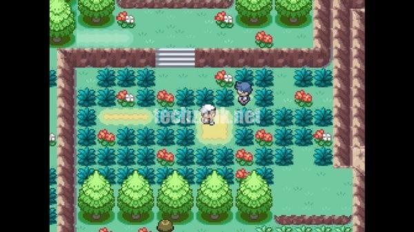 Pokemon Mind and Body APK For Android